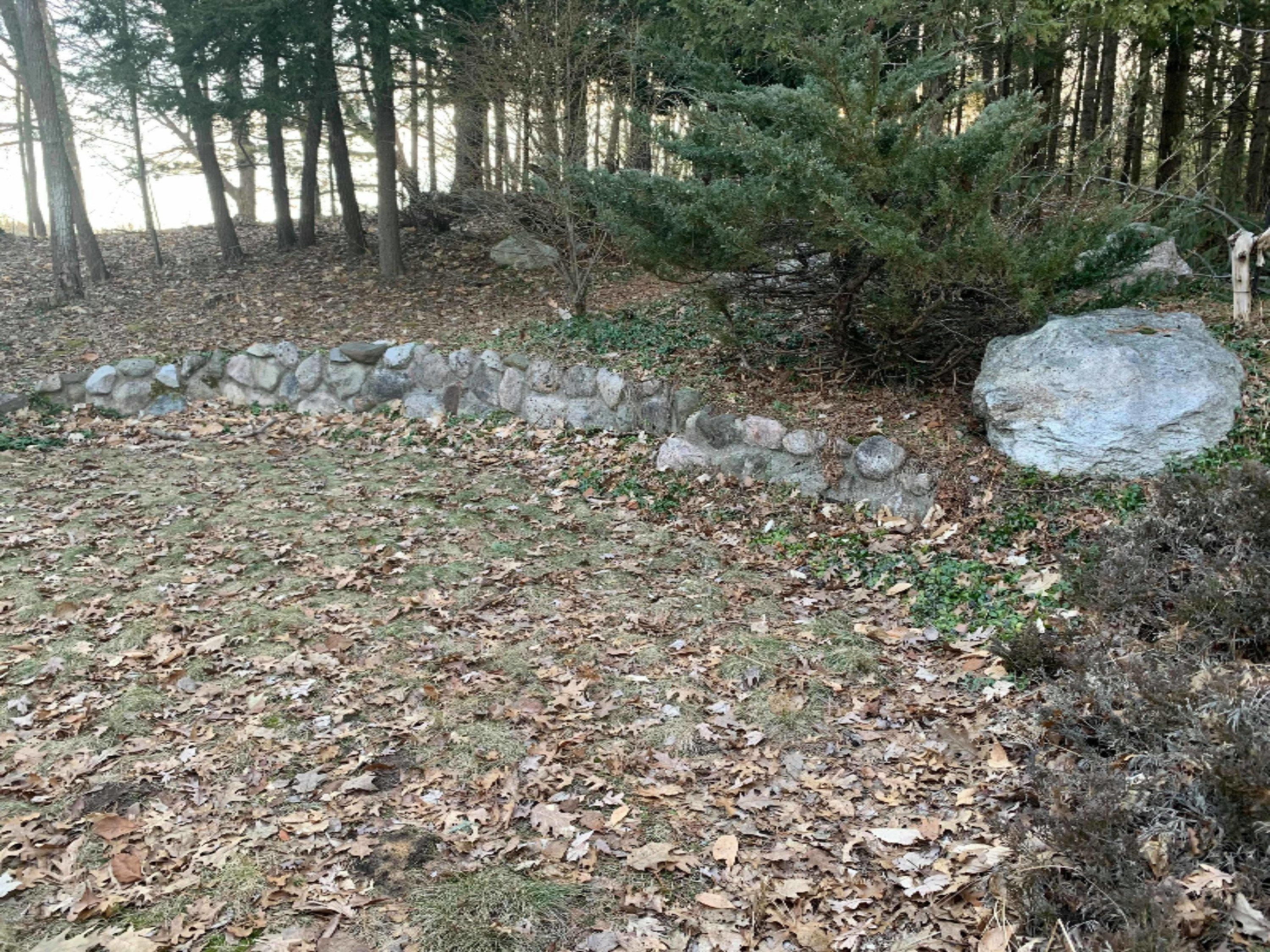 19030 Monroe Road Morley, MI 49336 - Photo 27 of 47 90156365_1291193967736068_71834835730919