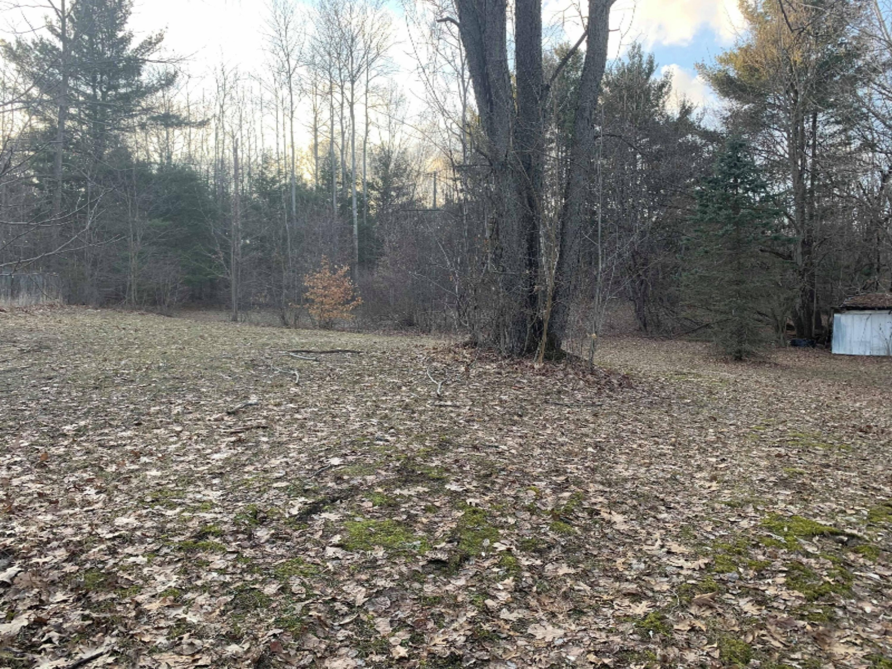 19030 Monroe Road Morley, MI 49336 - Photo 30 of 47 90242770_1052078748481802_12806059774642