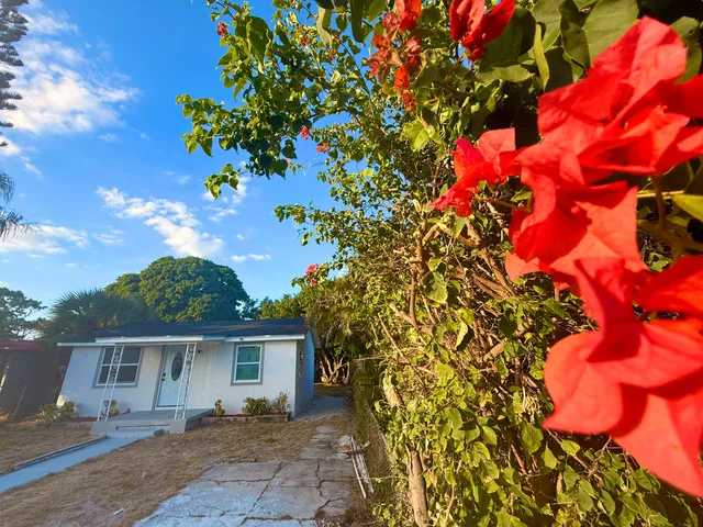 a front view of a house with a tree