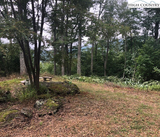 Lot 23 Nettles Ridge Road Banner Elk, NC 28604 - Photo 8 of 13 Gallery Image 8