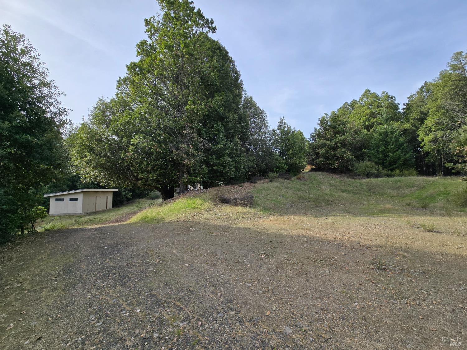 36955 Eureka Stagecoach Road Willits, CA 95490 - Photo 41 of 46 a view of a field with trees in background