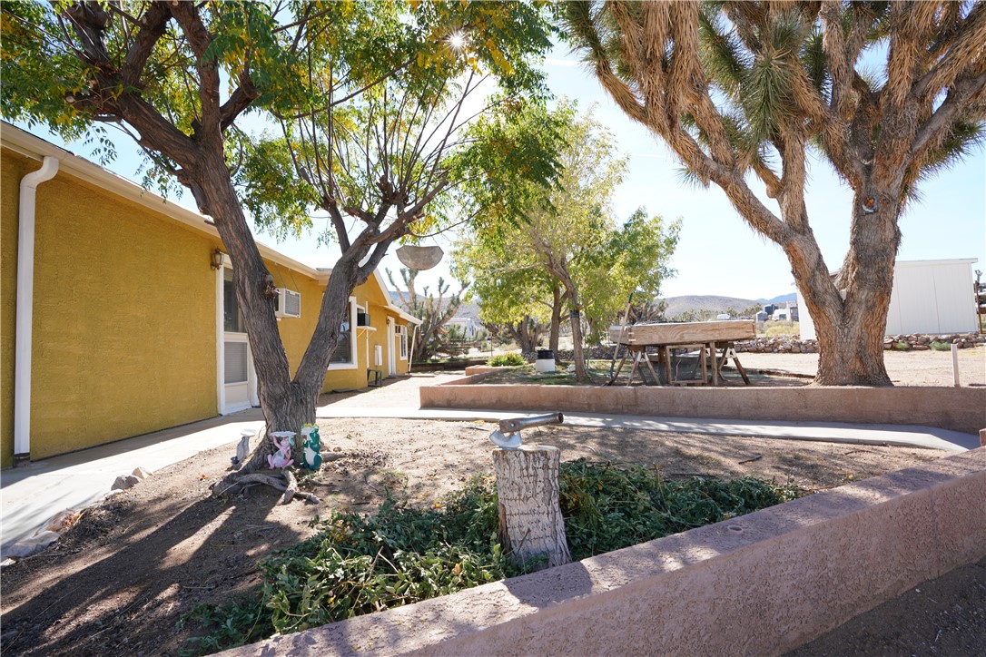 18193 Sequoia Drive Dolan Springs, AZ 86441 - Photo 34 of 50 a view of a yard with plants and trees