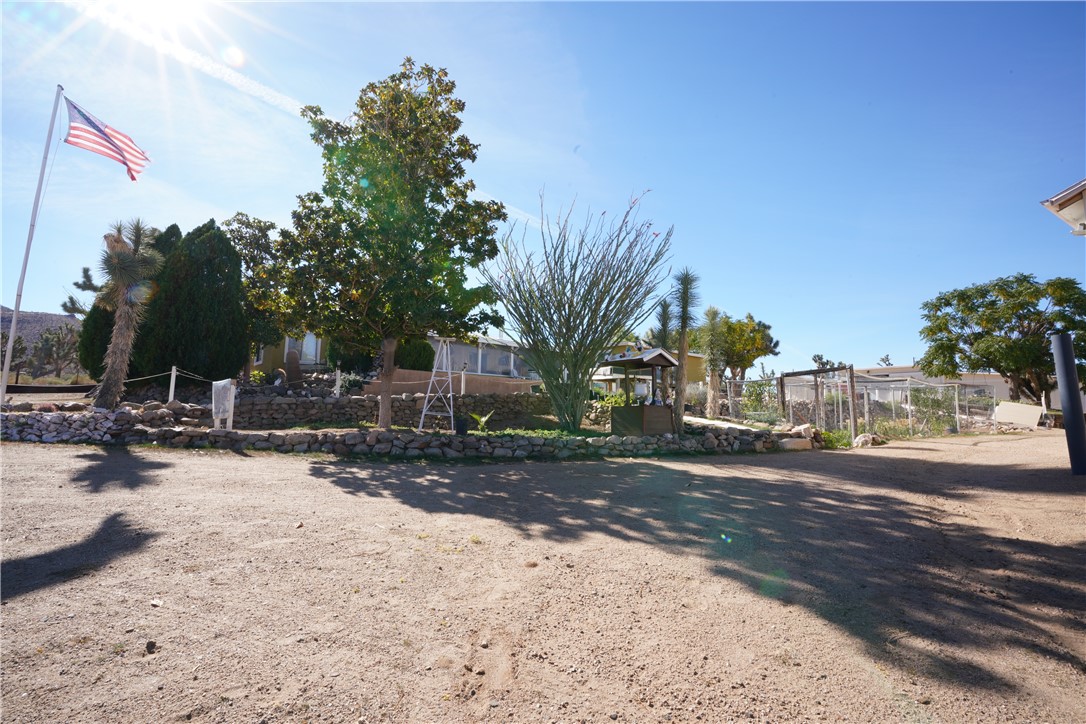 18193 Sequoia Drive Dolan Springs, AZ 86441 - Photo 42 of 50 a view of a yard with a tree