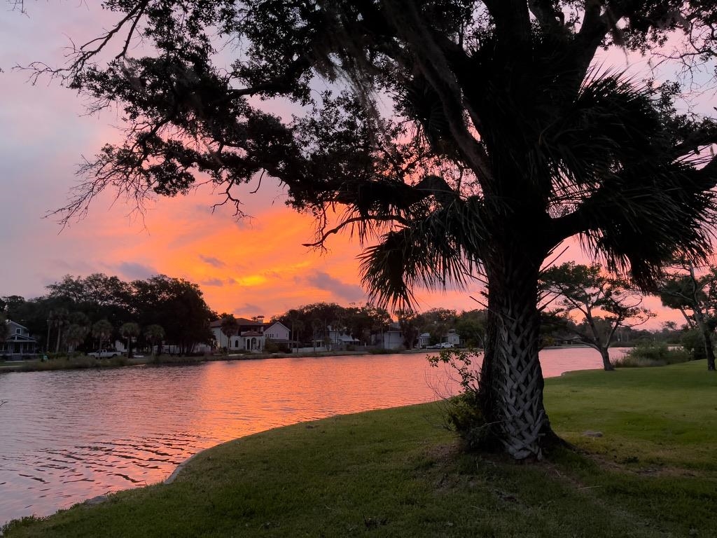 131 Washington Street St. Augustine, FL 32084 - Photo 31 of 33 a view of lake from yard