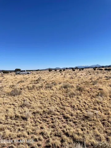 a view of a room with a dry yard