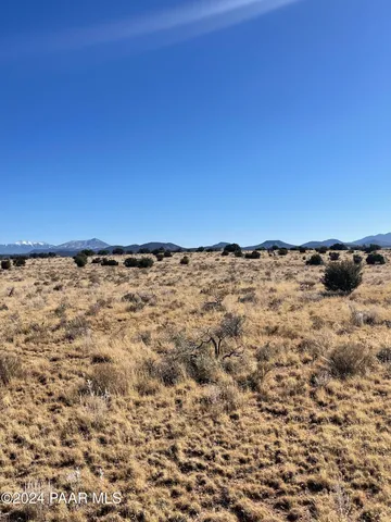 a view of a snow on the wall