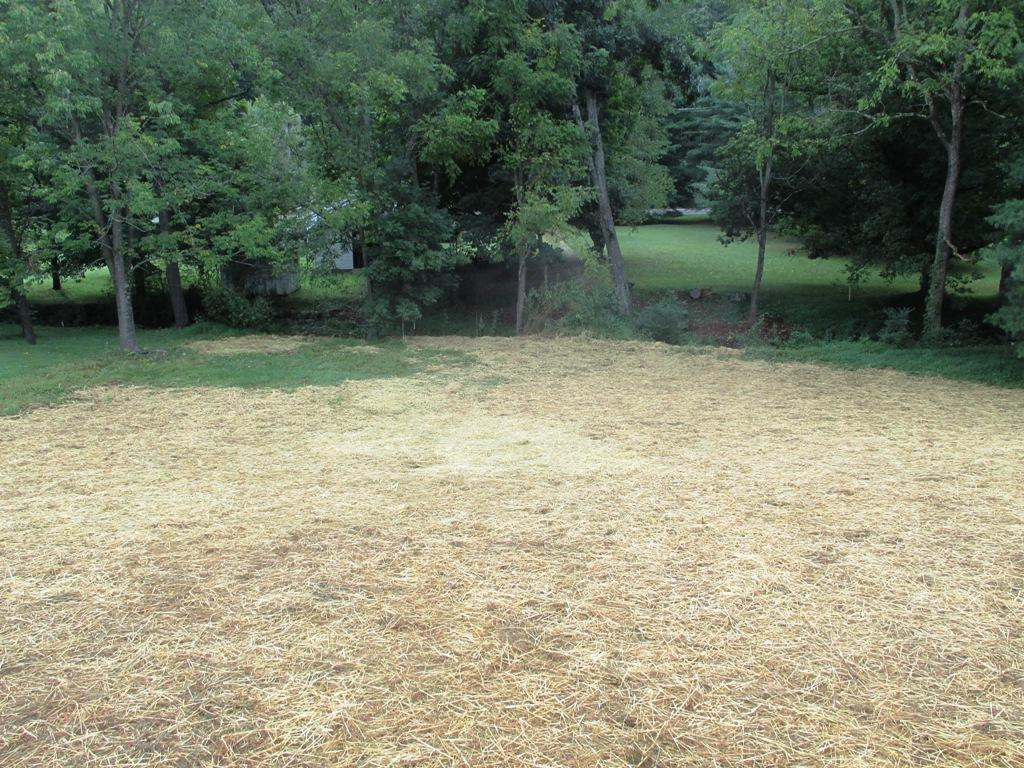 149 John Taylor Road Elizabethton, TN 37643 - Photo 3 of 18 Photo 3