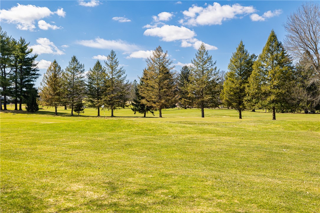 59 Brookside Drive Brighton, NY 14618 - Photo 6 of 44