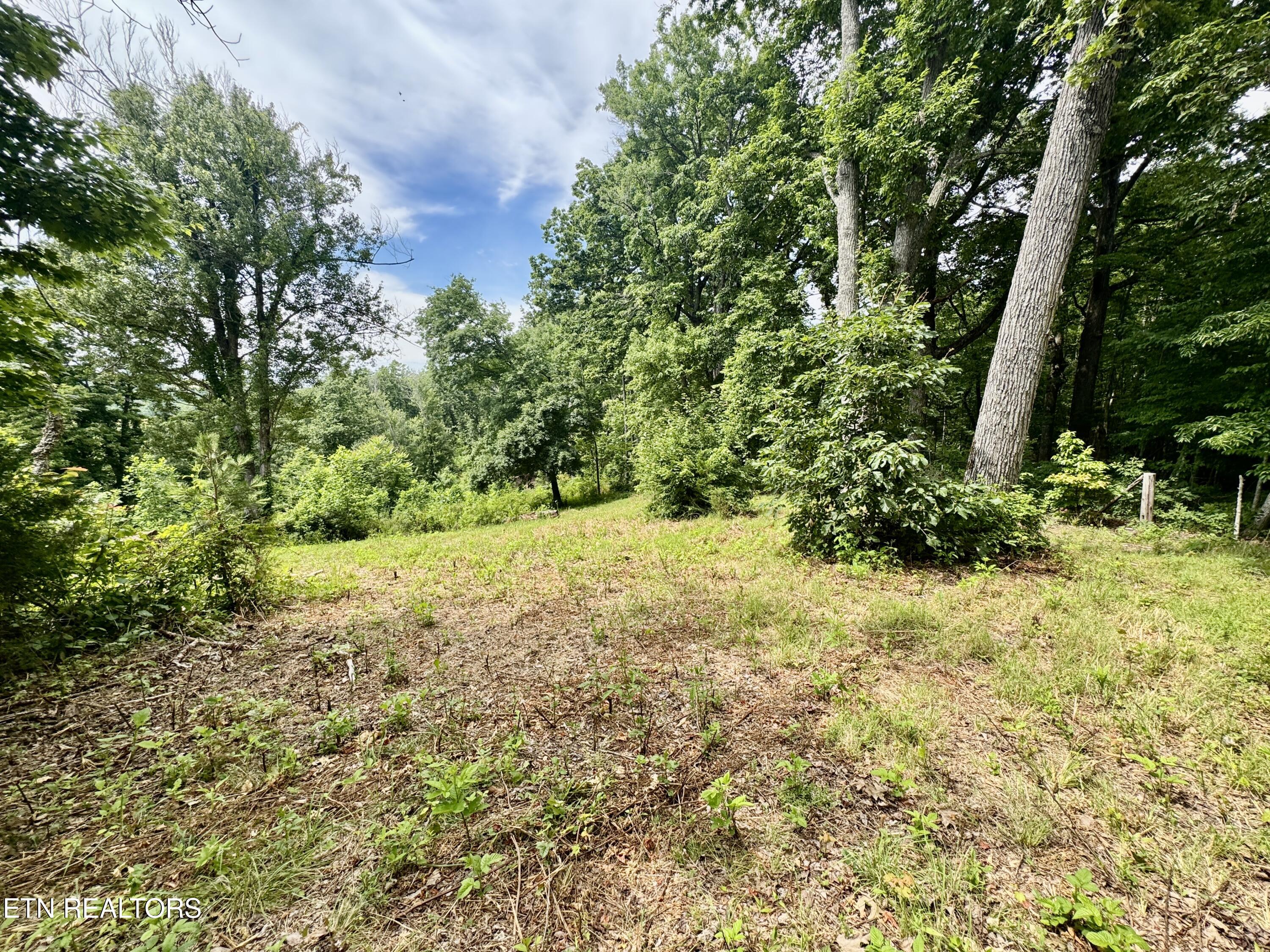 378 Johnson Hollow Road New Tazewell, TN 37825 - Photo 27 of 35 1-27