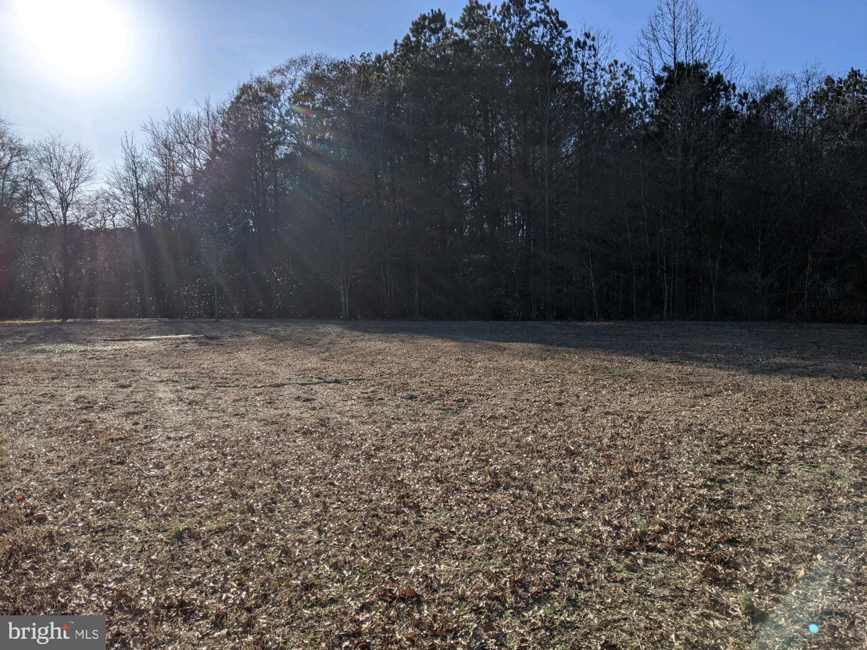 9248 Bethel Road Willards, MD 21874 - Photo 45 of 47 a view of basketball court