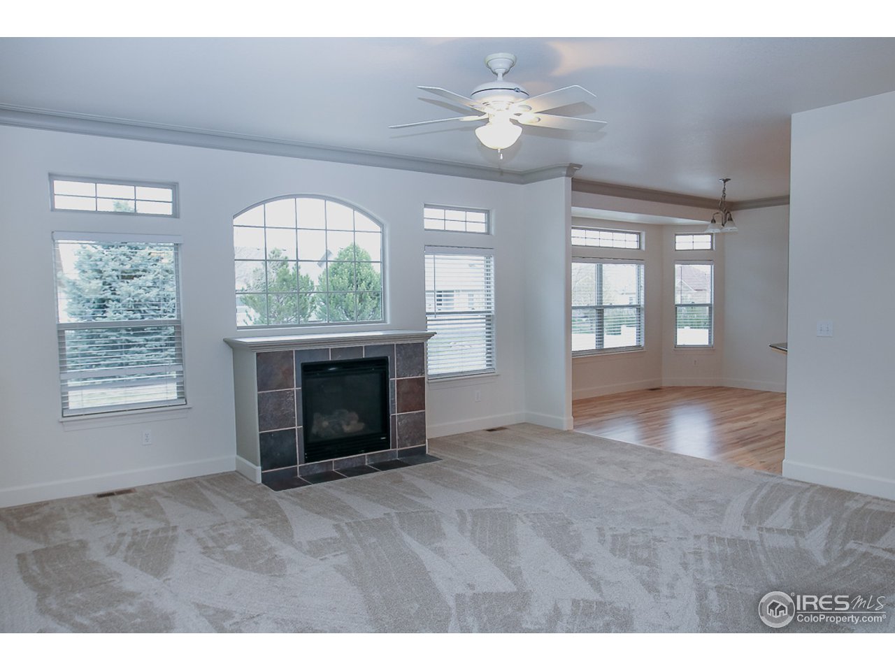 6709 West 34th St Road Greeley, CO 80634 - Photo 14 of 34 Living Room