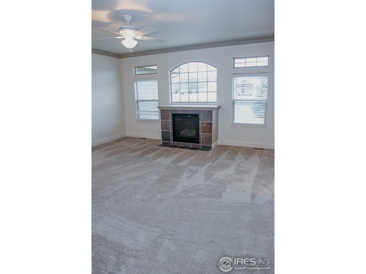 6709 West 34th St Road Greeley, CO 80634 - Photo 15 of 34 Living Room