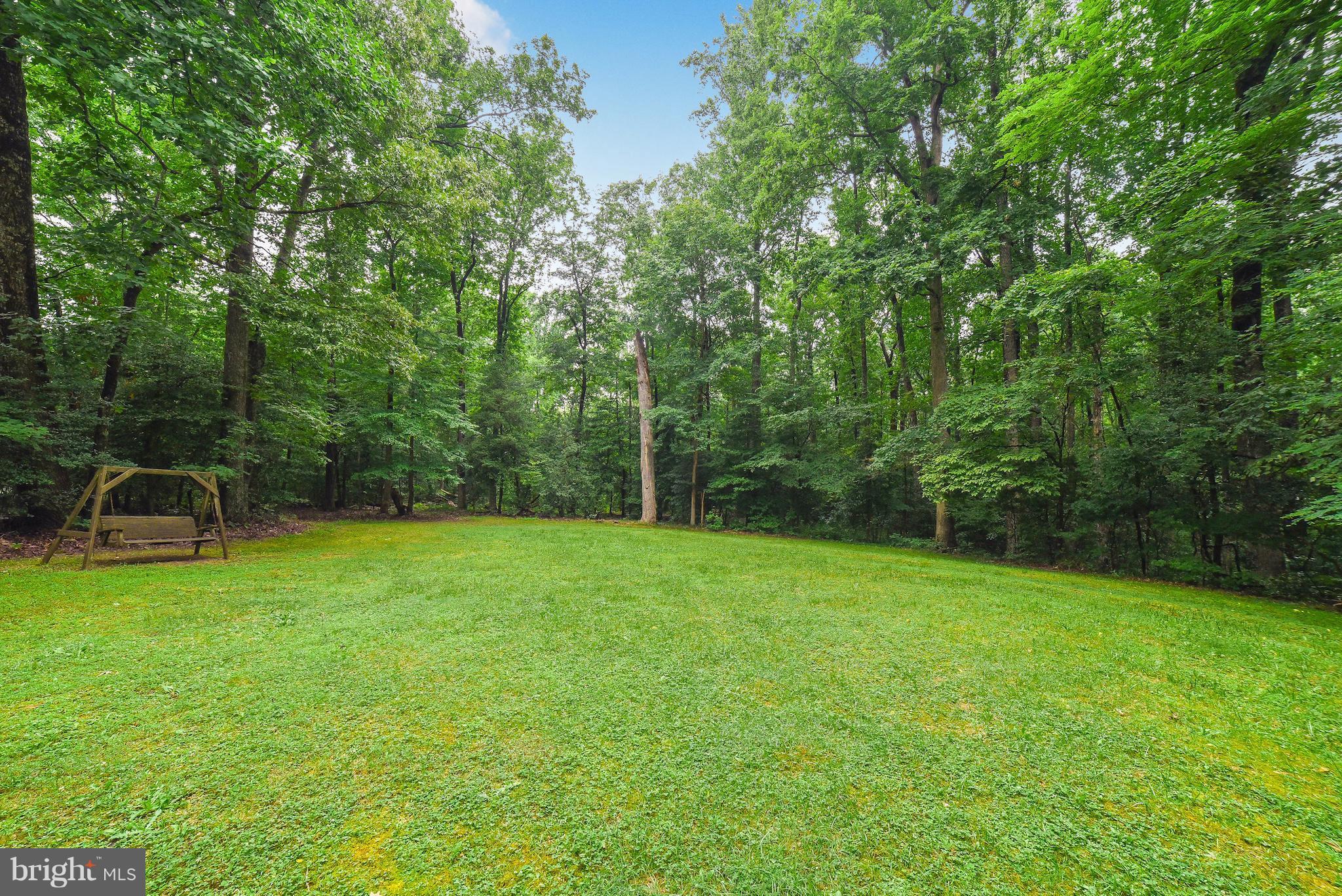 25030 Morgan Road Hollywood, MD 20636 - Photo 2 of 29 Great backyard with mature trees, plenty of space