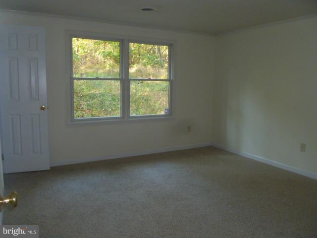 169 Wild Turkey Road Berkeley Springs, WV 25411 - Photo 12 of 23 Bedroom (Master)