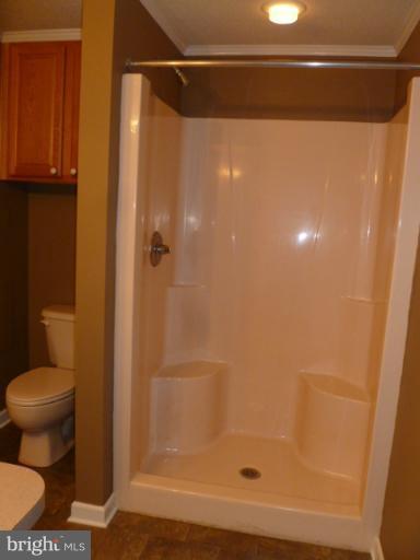 169 Wild Turkey Road Berkeley Springs, WV 25411 - Photo 13 of 23 Bath (Master)