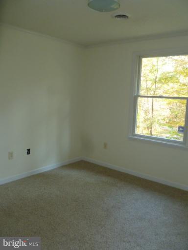 169 Wild Turkey Road Berkeley Springs, WV 25411 - Photo 17 of 23 Bedroom