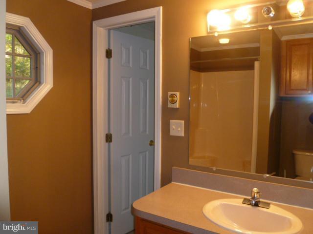 169 Wild Turkey Road Berkeley Springs, WV 25411 - Photo 18 of 23 Bath (Master)