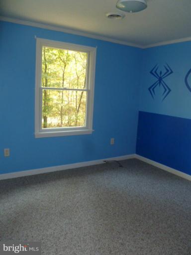 169 Wild Turkey Road Berkeley Springs, WV 25411 - Photo 8 of 23 Bedroom