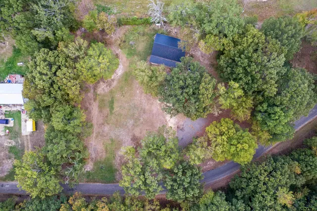 an aerial view of a house with plants and large trees
