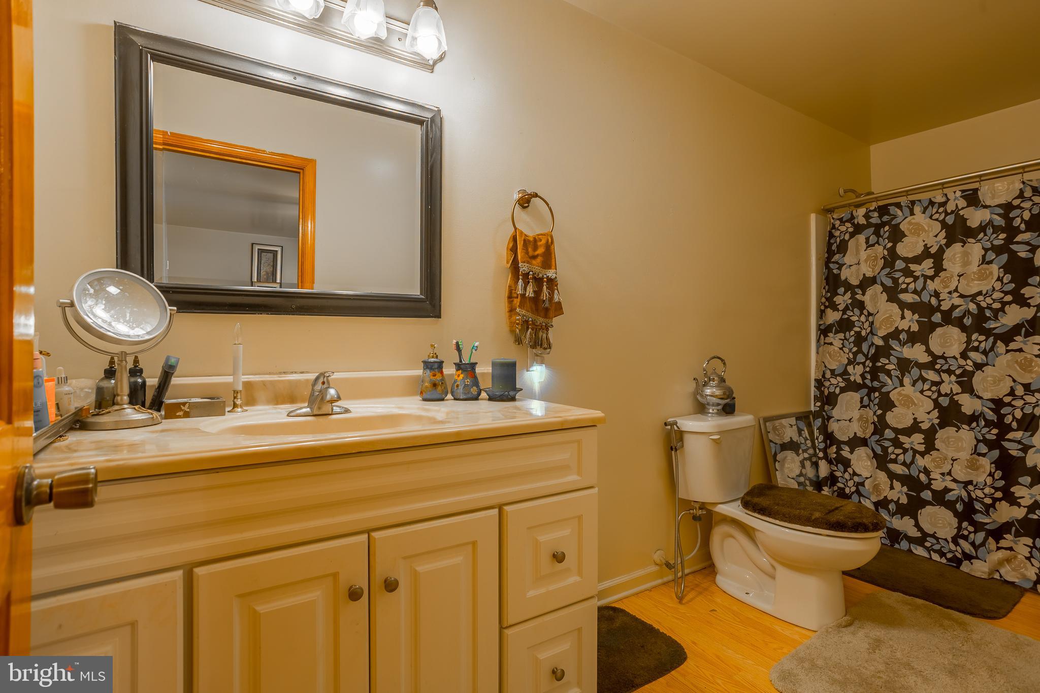 6629 Bowden Road Newark, MD 21841 - Photo 48 of 63 a bathroom with a toilet a sink and mirror