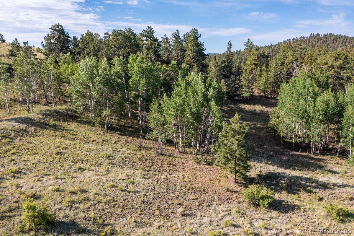 0 Big Buck Road Guffey, CO 80820 - Photo 4 of 14