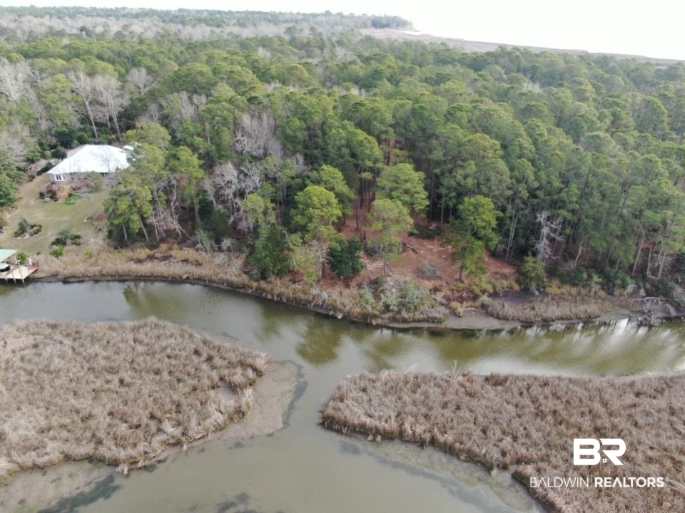 Riverview Nursery Road Theodore, AL 36582 - Photo 3 of 24