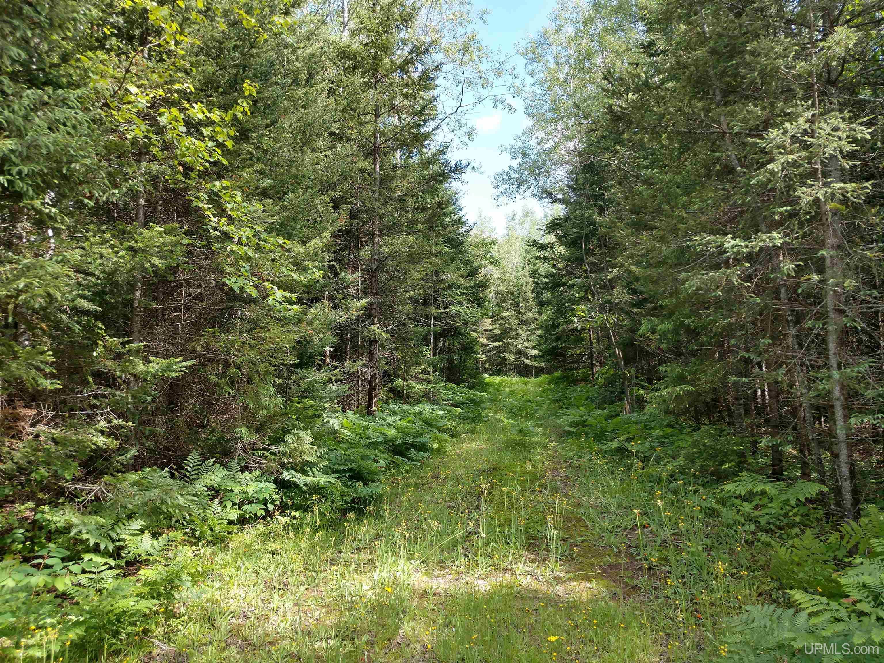 601 County Road 601 Road Republic, MI 49879 - Photo 52 of 60
