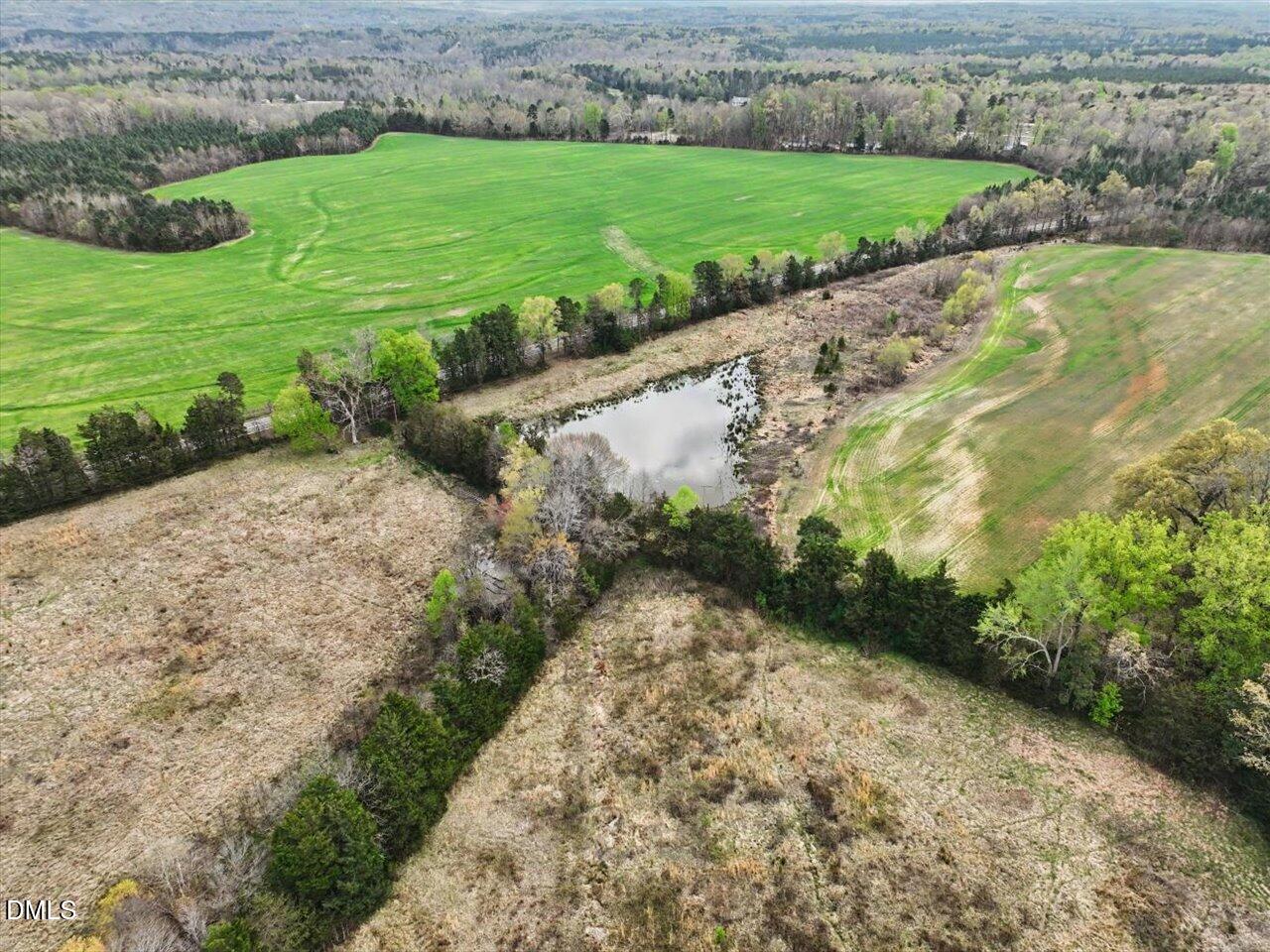 7793 Ridgeville Road Leasburg, NC 27291 - Photo 66 of 91
