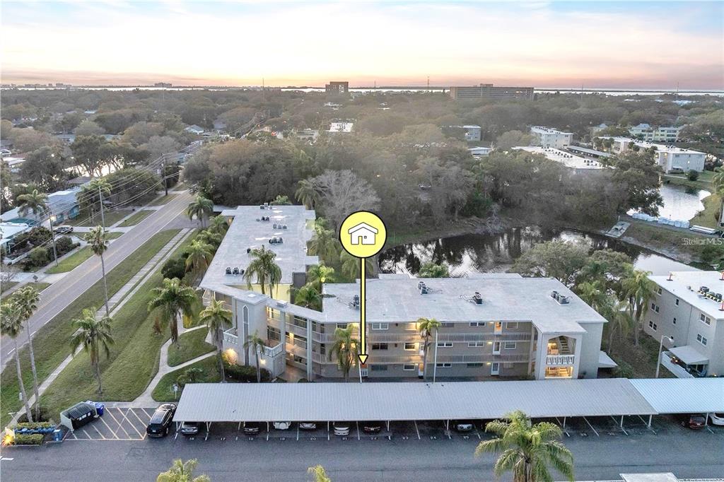 960 Virginia Street, Unit 107 Dunedin, FL 34698 - Photo 6 of 30
