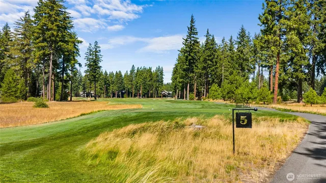a view of swimming pool with a yard