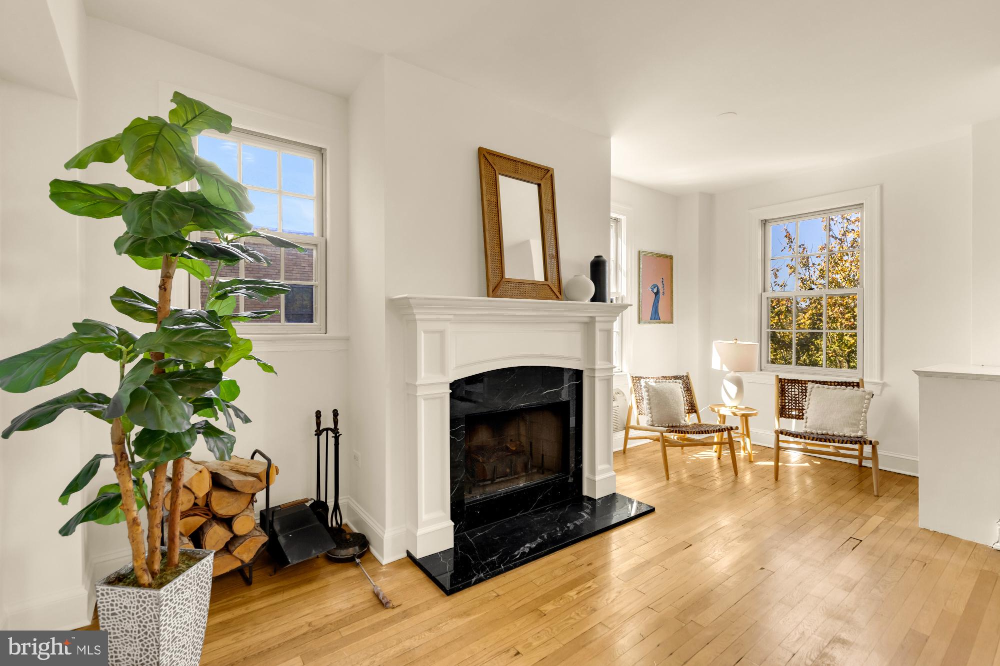 2040 Belmont Road Northwest, Unit 606 Washington, DC 20009 - Photo 2 of 42 Wood burning fireplace