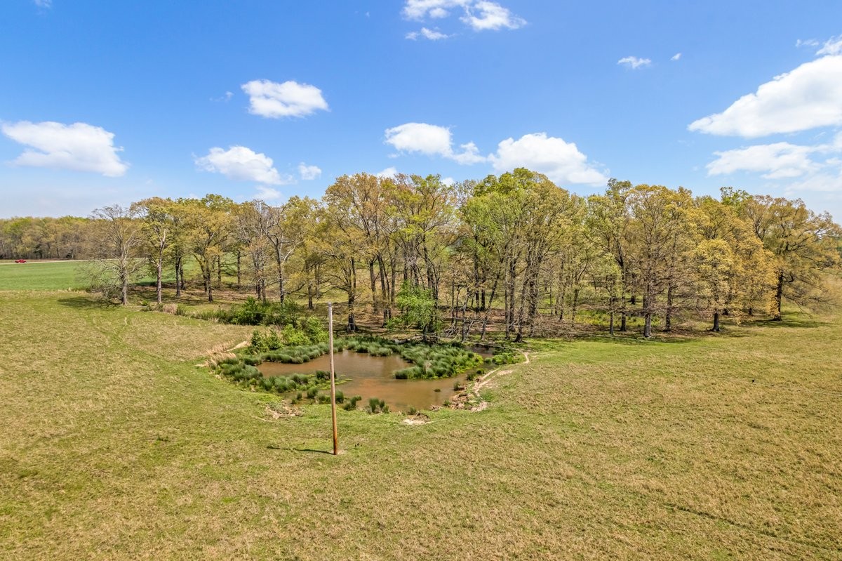 1110 Pomroy Road Manchester, TN 37355 - Photo 14 of 55 a view of a lake