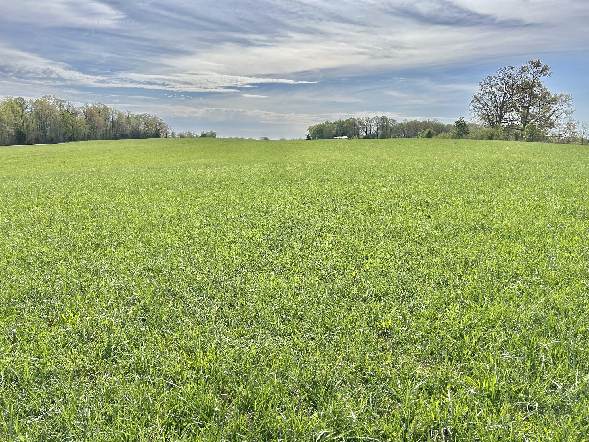 1110 Pomroy Road Manchester, TN 37355 - Photo 50 of 55 a view of a field with an ocean