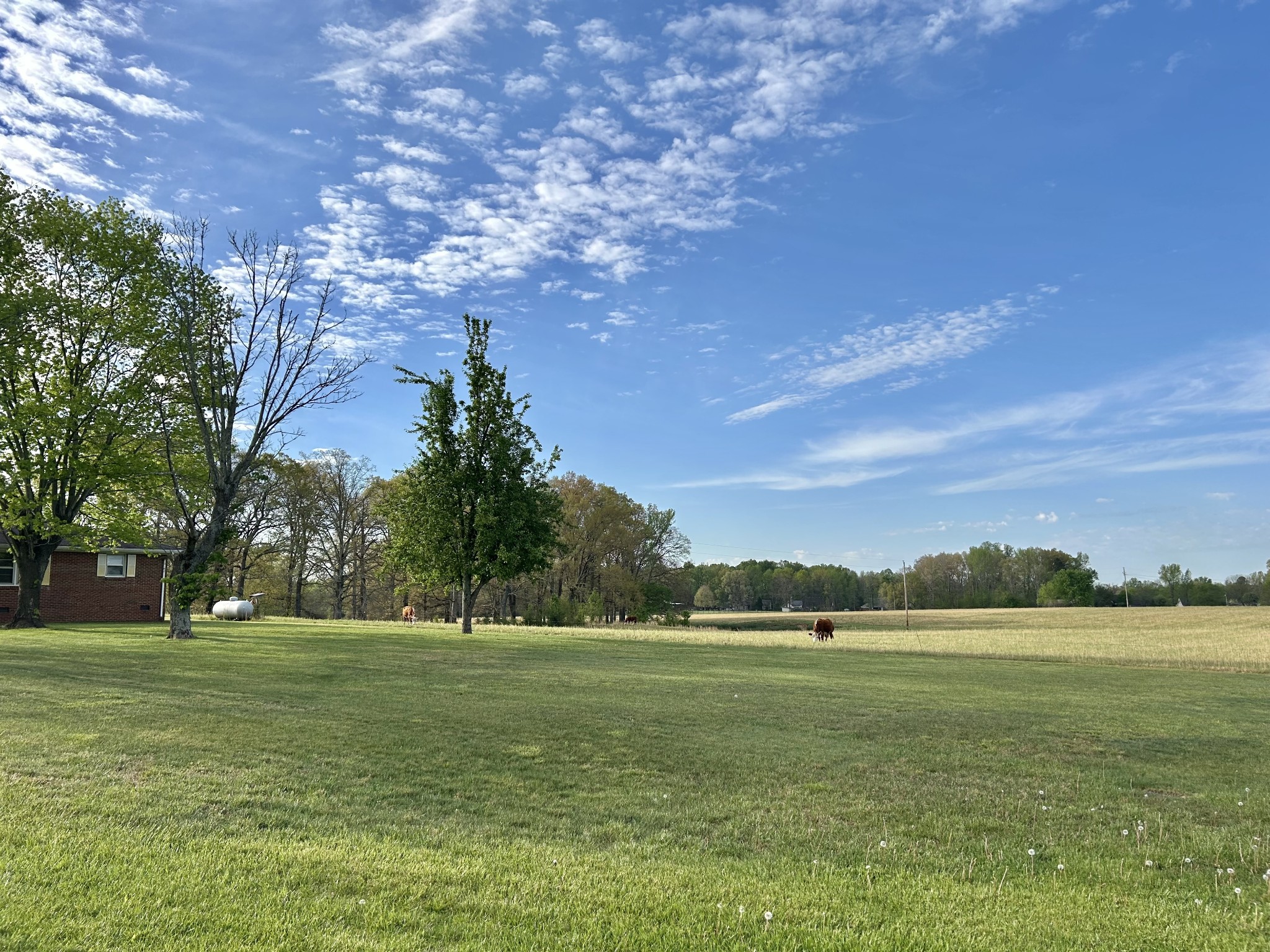 1110 Pomroy Road Manchester, TN 37355 - Photo 9 of 55 a view of a green field with clear sky