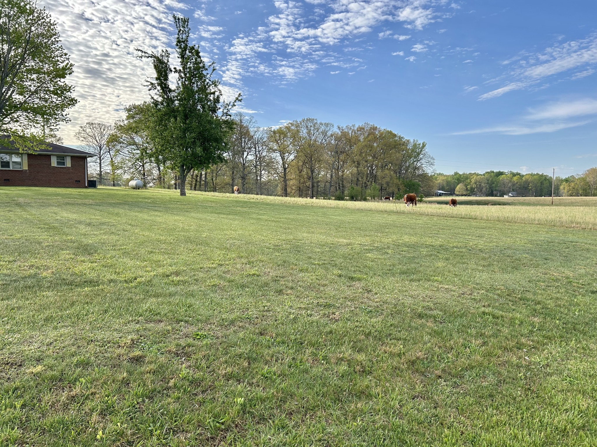 1110 Pomroy Road Manchester, TN 37355 - Photo 10 of 55 a view of a field with an trees