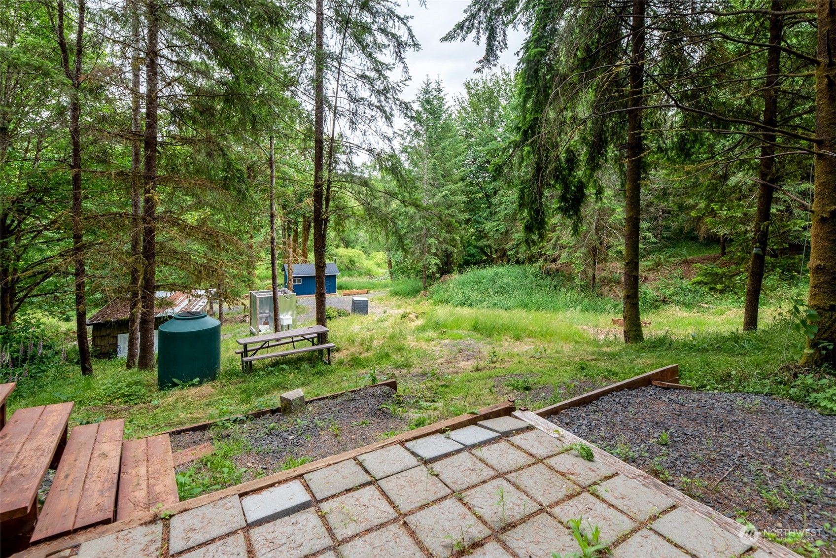 192 Bunker Road Chehalis, WA 98532 - Photo 12 of 24 a view of a park with large trees