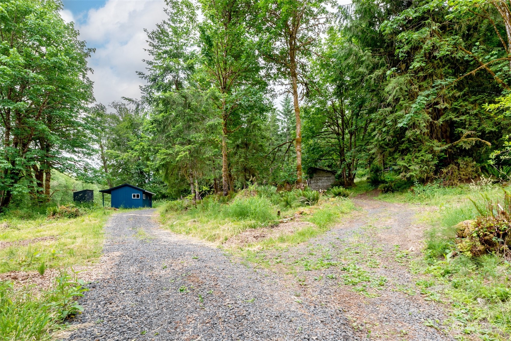 192 Bunker Road Chehalis, WA 98532 - Photo 19 of 24 a view of backyard with green space