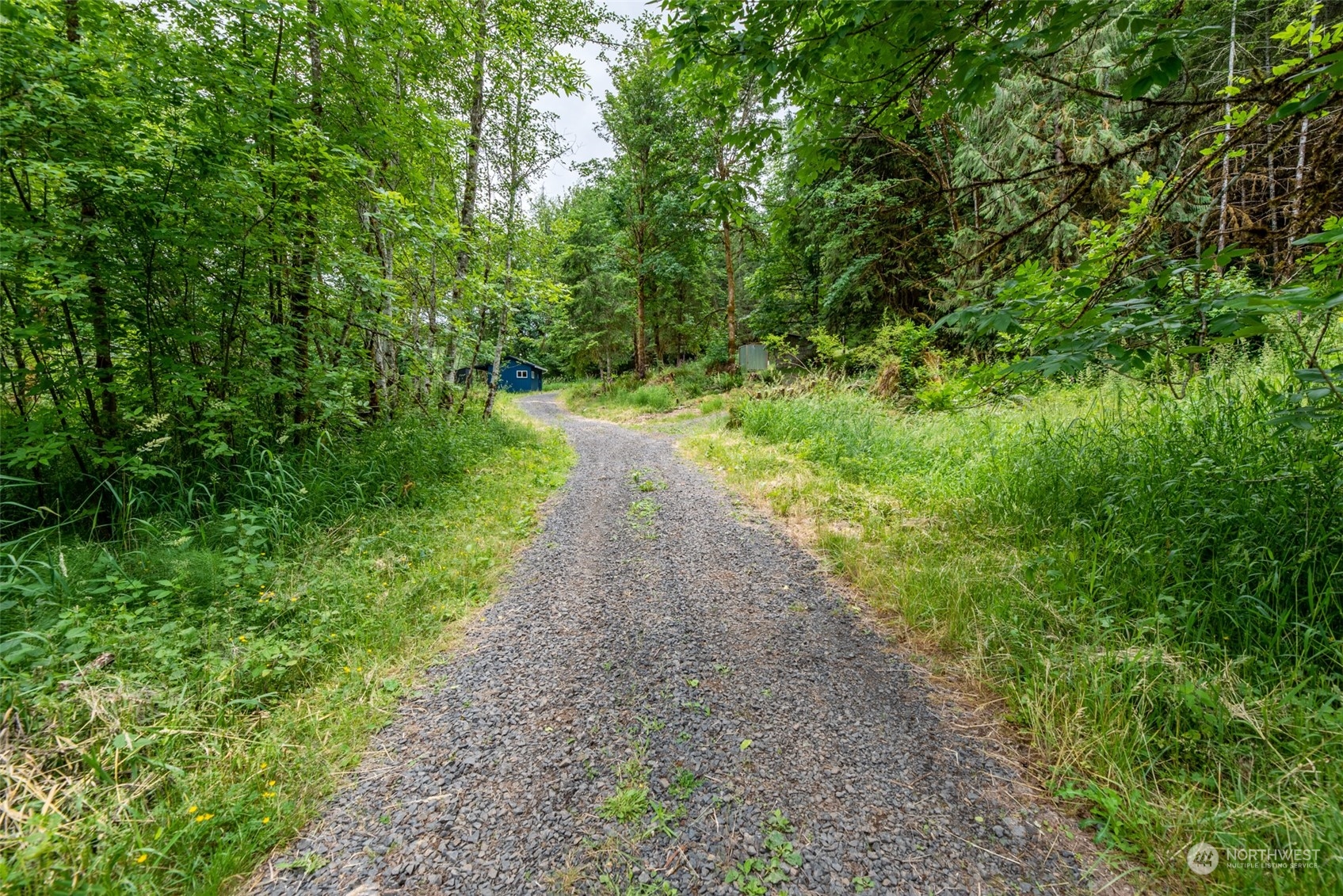 192 Bunker Road Chehalis, WA 98532 - Photo 20 of 24 a view of a pathway both side of yard