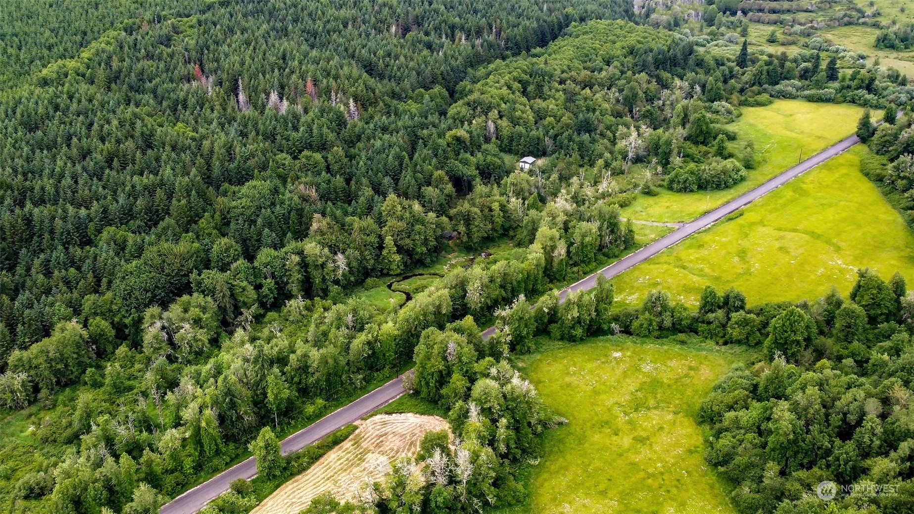192 Bunker Road Chehalis, WA 98532 - Photo 3 of 24 a view of a yard with plants