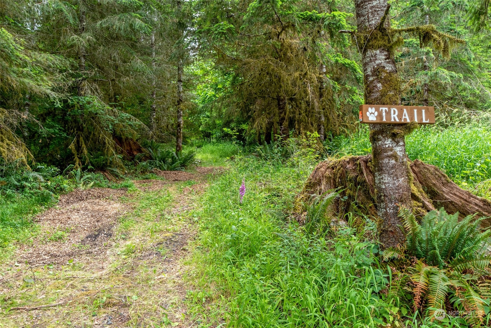 192 Bunker Road Chehalis, WA 98532 - Photo 9 of 24 a picture of street view with an outdoor space
