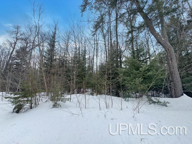 Lot 7 West Tamarack Lake Road Watersmeet, MI 49969 - Photo 7 of 11