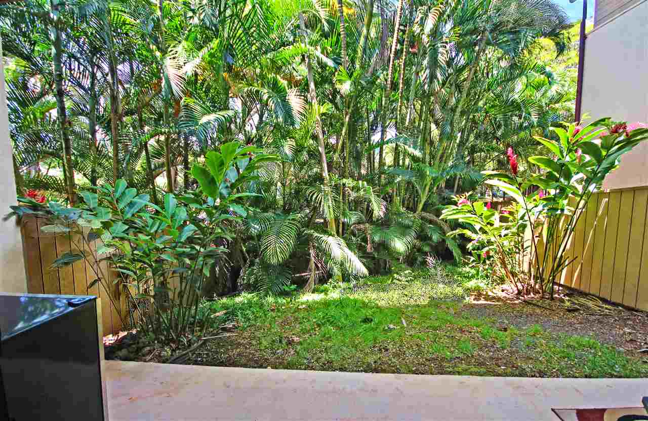 5432 Lower Honoapiilani Road, Unit 2 Lahaina, HI 96761 - Photo 9 of 25 Gallery Image 9