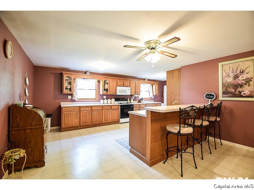 32530 State Rte 4 Girard, IL 62640 - Photo 8 of 29