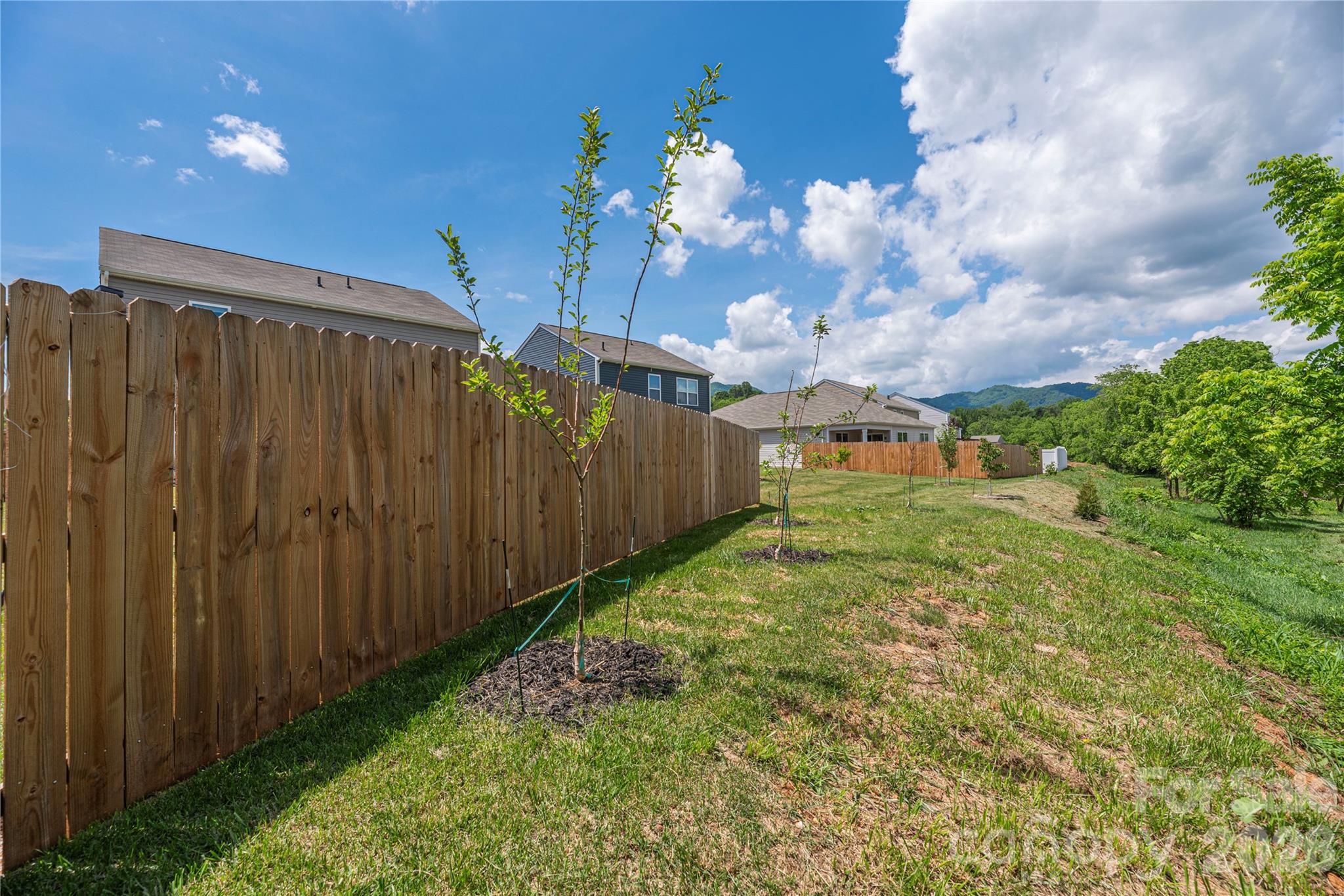 8 Madelyn Drive Clyde, NC 28721 - Photo 33 of 43 a view of a backyard with pathway