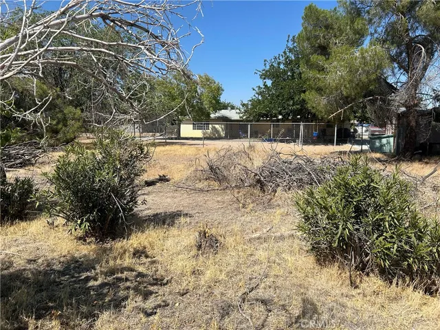 a view of backyard with tree