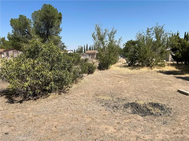 a view of a dirt road with trees in the background