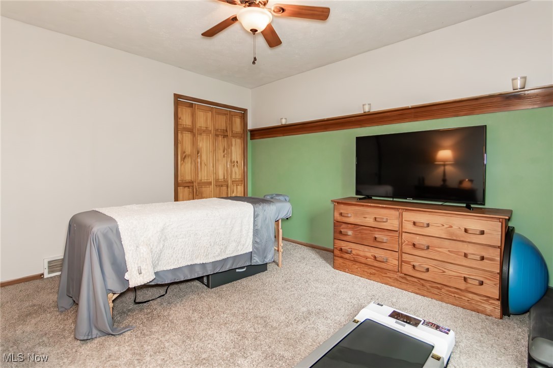 5081 Middle Ridge Road Perry, OH 44081 - Photo 19 of 33 Bedroom with carpet, baseboards, a ceiling fan, and a closet