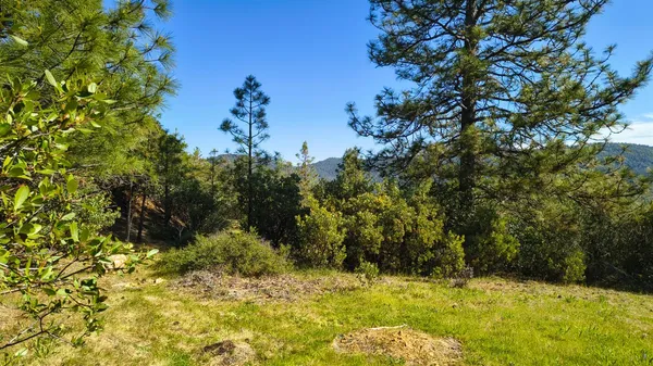 $74,500 | 10141 Clark Ranch Way, Brownsville, CA 95919