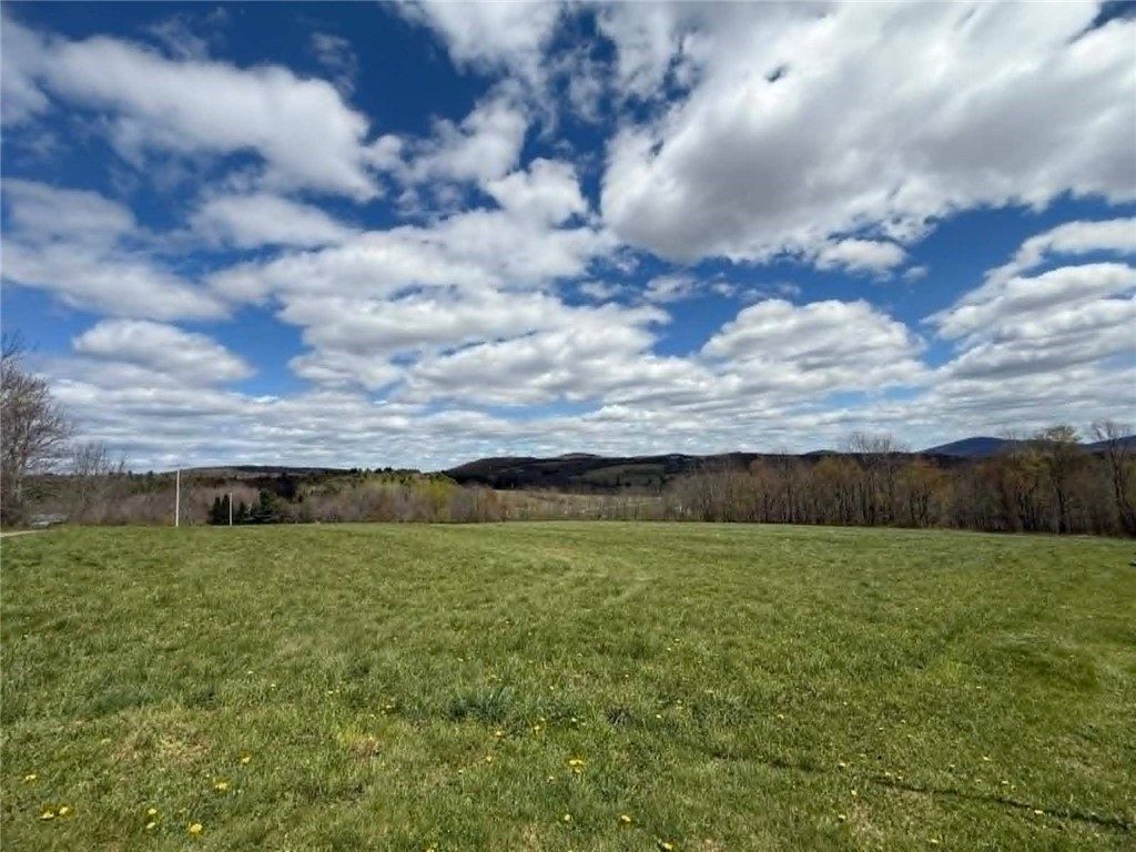 372 Windsong Road Harpersfield, NY 13786 - Photo 21 of 23