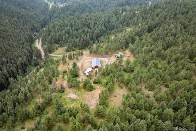 a view of a forest with a house